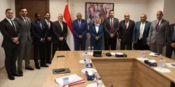 وزير الكهرباء