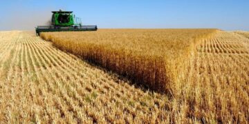 البورصة - استصلاح الأراضي