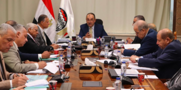 وزير قطاع الأعمال خلال اللقاء