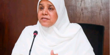 نفيسة هاشم، مستشار وزير الإسكان