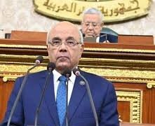 محمد عطية الفيومي