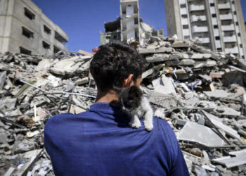 Ahmed Mosabeh, a 28-year-old Palestinian man with special needs, holds one of several rescue kitten he cares for, next to a destroyed building, after evacuating his home earlier to a safer area due to Israeli air raids in Gaza City, on May 18, 2021. - Israel launched its air campaign on the Gaza Strip controlled by the Palestinian Hamas group on May 10, after the enclave's rulers fired a barrage of rockets in response to unrest in Israeli-annexed east Jerusalem. (Photo by Mahmud Hams / AFP)