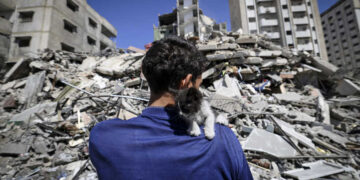 Ahmed Mosabeh, a 28-year-old Palestinian man with special needs, holds one of several rescue kitten he cares for, next to a destroyed building, after evacuating his home earlier to a safer area due to Israeli air raids in Gaza City, on May 18, 2021. - Israel launched its air campaign on the Gaza Strip controlled by the Palestinian Hamas group on May 10, after the enclave's rulers fired a barrage of rockets in response to unrest in Israeli-annexed east Jerusalem. (Photo by Mahmud Hams / AFP)