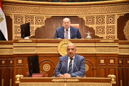 وزير الكهرباء بالجلسة العامة لمجلس الشيوخ وزير الكهرباء بالجلسة العامة لمجلس الشيوخ