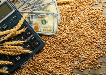 السلع الغذائية