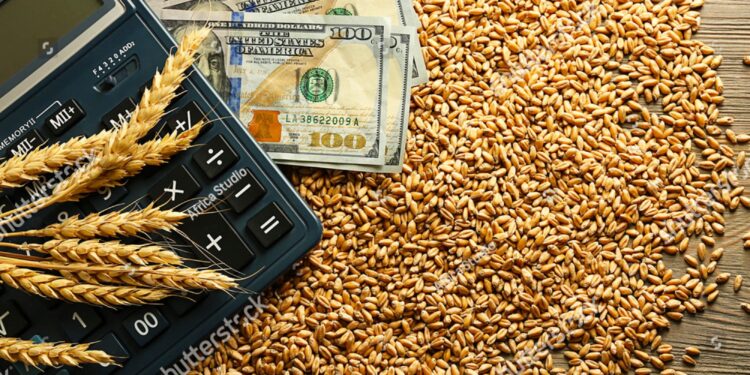 السلع الغذائية