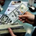 سعر الدولار اليوم