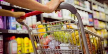 أسعار السلع الغذائية اليوم وفقا لآخر تحديث ببوابة الأسعار المحلية