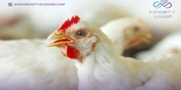 أسعار الفراخ والبيض الأحد 20 أبريل.. بكم البانيه اليوم؟