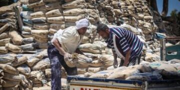 استقرار أسعار الاسمنت اليوم الاثنين بالرغم من توقعات الخبراء بزيادة سعره