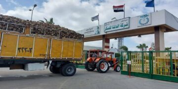 45% نمواً في أرباح "الدلتا للسكر" بالربع الأول.. والمبيعات تتجاوز 2 مليار جنيه
