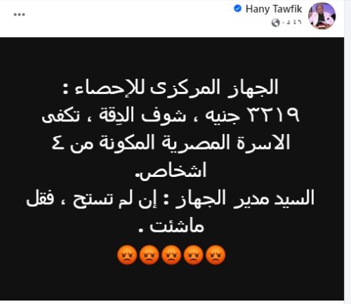 Hany الإحصاء: 3219 جنيه تكفي أسرة مكونة من 4 أشخاص شهريًا