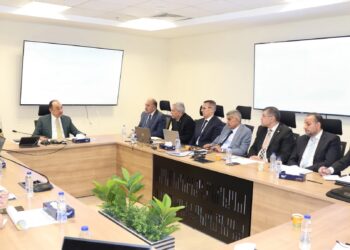 وزير قطاع الأعمال: خطة لتوطين صناعة الأدوية والمواد الخام في مصر