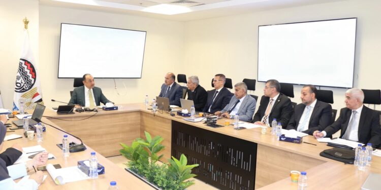 وزير قطاع الأعمال: خطة لتوطين صناعة الأدوية والمواد الخام في مصر