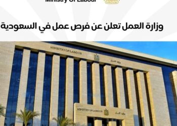 برواتب تصل لـ6500 ريال.. السعودية تطلب وظائف في المقاولات بامتيازات شاملة