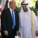  الإمارات تتعهد بضخ استثمارات تقدر بـ1.4 تريليون دولار في اقتصاد الولايات المتحدة الأمريكية