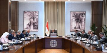 المالية: 105.3 مليار دولار قيمة الإفراجات الجمركية عن السلع منذ بداية 2025 وحتى منتصف مايو