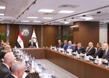 وزير البترول: 1.9 مليار جنيه إيرادات IDM في 2024 وخطط للتوسع إقليميًا
