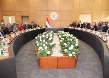1000 ميجا بطاريات تخزين.. تعاون مصري سويدي لتحديث الشبكة الكهربائية