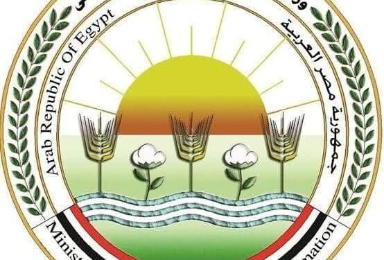 وزارة الزراعة: مبنى الدقي القديم تحت الإشراف ولا صحة لشائعات بيعه