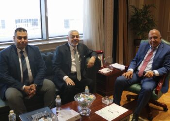 وزير الكهرباء يبحث مع "AMEA POWER" الإماراتية توسعات جديدة في مشروعات الطاقة المتجددة