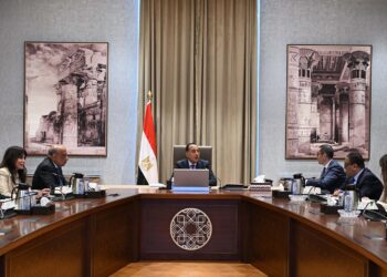 مدبولي: خطة استثمارية جديدة للكهرباء والطاقة المتجددة في مصر خلال 10 سنوات