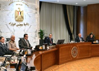 مدبولي يؤكد على توافر السلع والوقود ويطالب بترشيد استهلاك الكهرباء