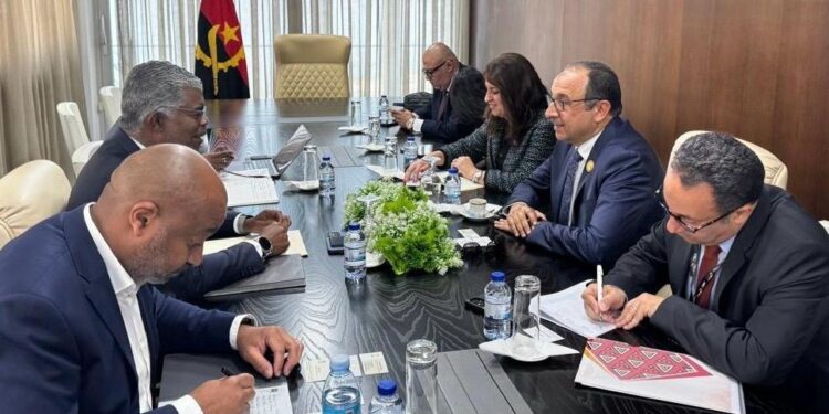 وزير قطاع الأعمال 25