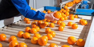 3.365 مليار دولار.. صادرات الأغذية المصرية تسجل أعلى نصف سنوي في تاريخها