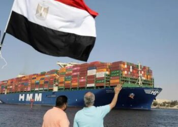 الإحصاء: قفزة بالتبادل التجاري بين مصر والبريكس لـ50.8 مليار دولار في 2024