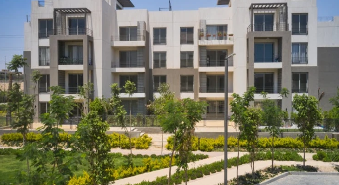 بالم هيلز للتعمير